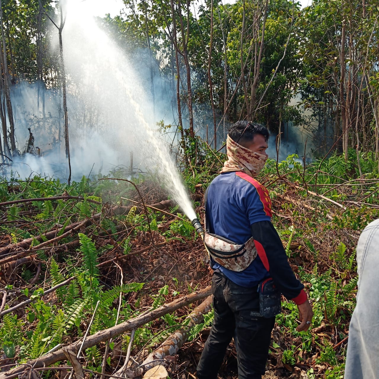 Dalam Sepekan, Karhutla di Riau Bertambah 700 Hektare